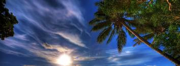 Integer dapibus congue